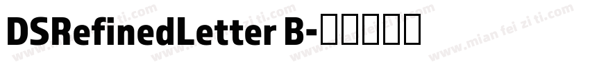 DSRefinedLetter B字体转换